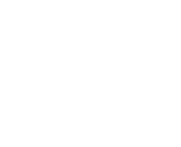 Estudio Wise